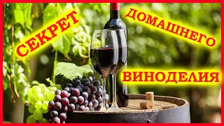 🔴Вино из Виноград Изабелла🔴Как сделать по нашему рецепту🔴Пошаговая инструкция🔴Isabella grape wine🔴