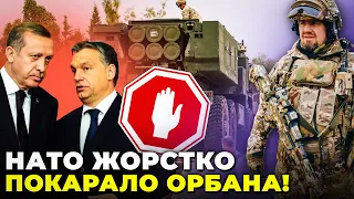 🔥 УГОРЩИНУ ЗАБЛОКУВАЛИ! Орбан отримав ляпаса від США | Лукашенко пригрозив ядеркою / ТИМОЧКО