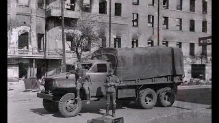 Во мне твоя боль, Воронеж