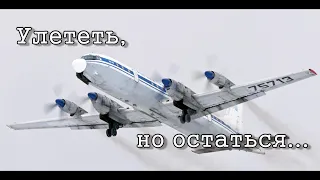 Улететь, но остаться. Ил-18 75713