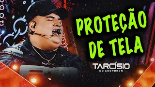 PROTEÇÃO DE TELA - Tarcísio do Acordeon (DVD Meu Sonho) / Melhor Música De Maio / As Mais Tocadas