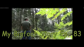 My Bigfoot Story Ep. 83 - Another Teepee Structure