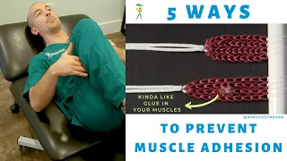 5 SURE FIRE WAYS TO PREVENT ADHESION... THE GLUE IN YOUR MUSCLES THAT CAUSES YOUR PAIN!