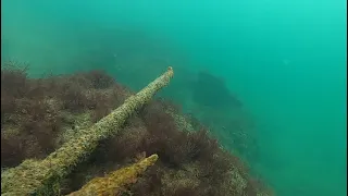 Casino - Anchors of the sunken city Tomis