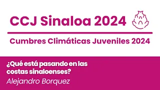 CCJ Sinaloa 2024 - ¿Qué está pasando en las costas sinaloenses?