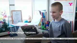 Домашний урожай