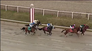 LAUREL PARK 03 02 2024 RACE 8