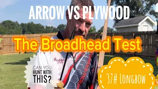 The Broadhead Test! 37# Longbow VS Plywood / Is It Enough For Hunting?