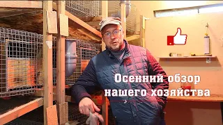 Осенний обзор нашего хозяйства