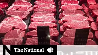 Tensions thaw slightly as China resumes imports of Canadian beef, pork