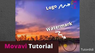 Логотип и водяной знак - Movavi Video Editor Plus 2020 # 31