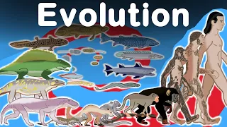 Awesome Human Evolution Timelapse