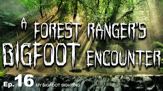 A Forest Ranger's Bigfoot Encounter - My Bigfoot Sighting Episode 16