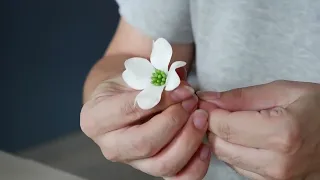 Dog Wood flowers tutorial