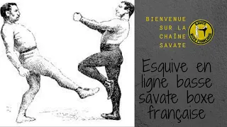 Esquive ligne basse savate boxe française.