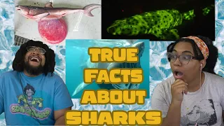 True Facts: The Curious Adaptations Of Sharks | ZeFrank Reaction ft. Chavezz