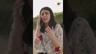 Woh Teri Biwi Baad Mein Pehle Meri Mehbooba Hai 😤😤 #𝐇𝐚𝐝𝐬𝐚 #𝐬𝐡𝐨𝐫𝐭𝐬 #harpalgeo #geotv