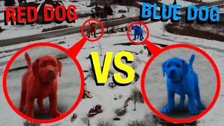 DRONE CATCHES CLIFFORD THE BIG RED DOG & CLIFFORD THE BIG BLUE DOG IN REAL LIFE AT DOG PARK!!