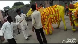 Weire ki qurbani