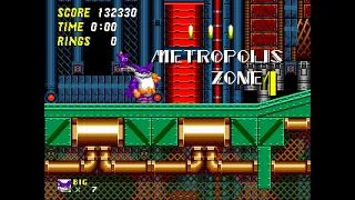 Sonic The Hedgehog 2 Pink Edition Metropolis Zone 1 (Big the Cat)(with Cream)(Search for Froggy)