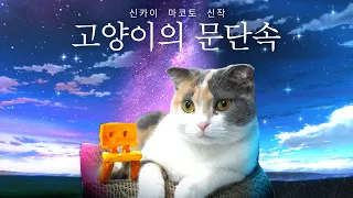 스즈메의 문단속 (고양이 ver.) | 고양이산책