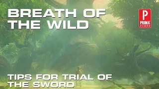 The Legend of Zelda: Breath of the Wild - Trial of the Sword Tips