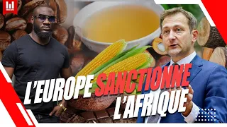 Ça commence, L'EUROPE SANCTIONNE LES PRODUITS AFRICAINS | Geopolitique Ep #693