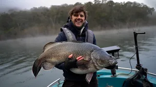 MASSIVE Lake Eildon Murray Cod