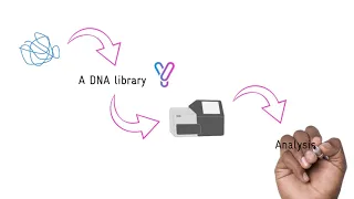 A Beginners guide to Next Generation Sequencing (NGS)
