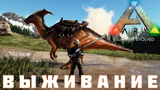 🦕 ARK: SURVIVAL EVOLVED ВЫЖИВАНИЕ [прохождение] #8