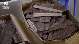 [PART 4] HAGA Agarwood Chips: Strict QC stage of raw material source