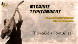 Μιχάλης Τζουγανάκης - Μοναξιά (Κοντυλιές) ΙΙ Michalis Tzouganakis - Monaksia