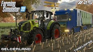 Rescuing DAF XG+ stuck in the WET FIELD | Animals on Gelderland | Farming Simulator 22 | Episode 25