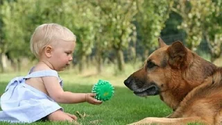 Dogs and babies playing together – Cute compilation