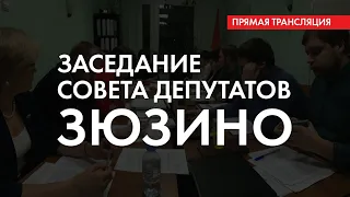 Заседание Совета депутатов Зюзино. 09.04.2019. Часть 1