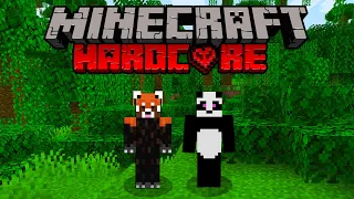 MINECRAFT HARDCORE cu NOCIVANU' | AM PRINS CEL MAI BUN SEED!