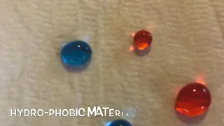 Hydrophobic Science Experiment!