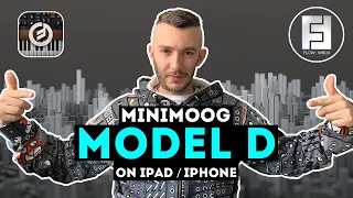 Moog - Minimoog Model D | Flow Form