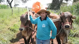 Encontro de Carros de Bois de 2016 no Distrito de Monjolinho de Minas