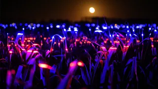 Dutch artist and designer Daan Roosegaarde explores “light recipes” to Grow plants more sustainably