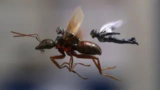 Filmkritik: „Ant-Man and the Wasp“