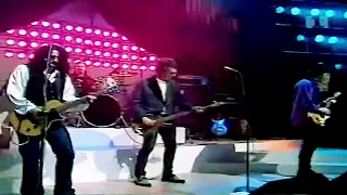 The Georgia Satellites - Hippy Hippy Shake - Apollo ,Danish TV Show 31-12 1996