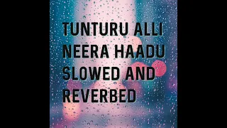 Tunturu Alli Neera Haadu - Slowed and Reverbed