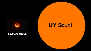 What if UY Scuti Hits A Black Hole?