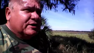 Myakka Skunk Ape video debunked logically