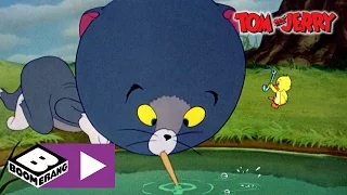 Tom und Jerry | Landleben | Cartoonito