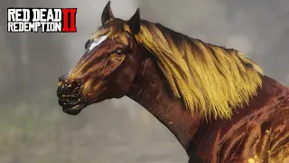 Domando o CAVALO MYTHAS - Jogando de Indígena - Red Dead Redemption 2