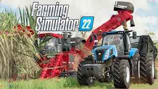 Farming Simulator 22 | COLHENDO CANA-DE-AÇUCAR! #15