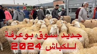 أخبار سوق حي دريوش للكباش 2024 تغطية خاصة في الجزء الأخير من مدينة البليدة ♥️