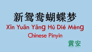 Xin Yuan Yang Hu Die Meng  Chinese Pinyin  新鸳鸯蝴蝶梦